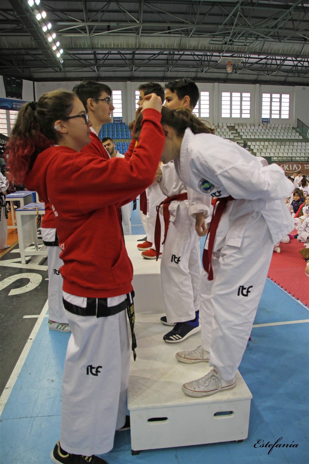 Taekwondo (265).jpg